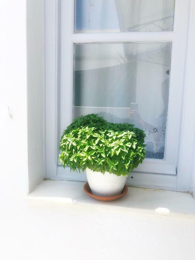 Kirki Rooms By The Sea Páros 外观 照片